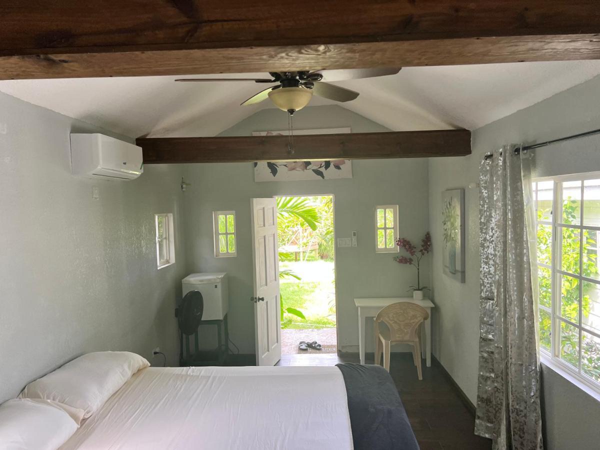 Jamaica Colors Hotel And Eco-Retreat Port Antonio Extérieur photo