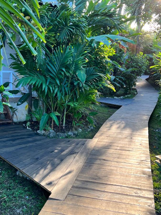 Jamaica Colors Hotel And Eco-Retreat Port Antonio Extérieur photo