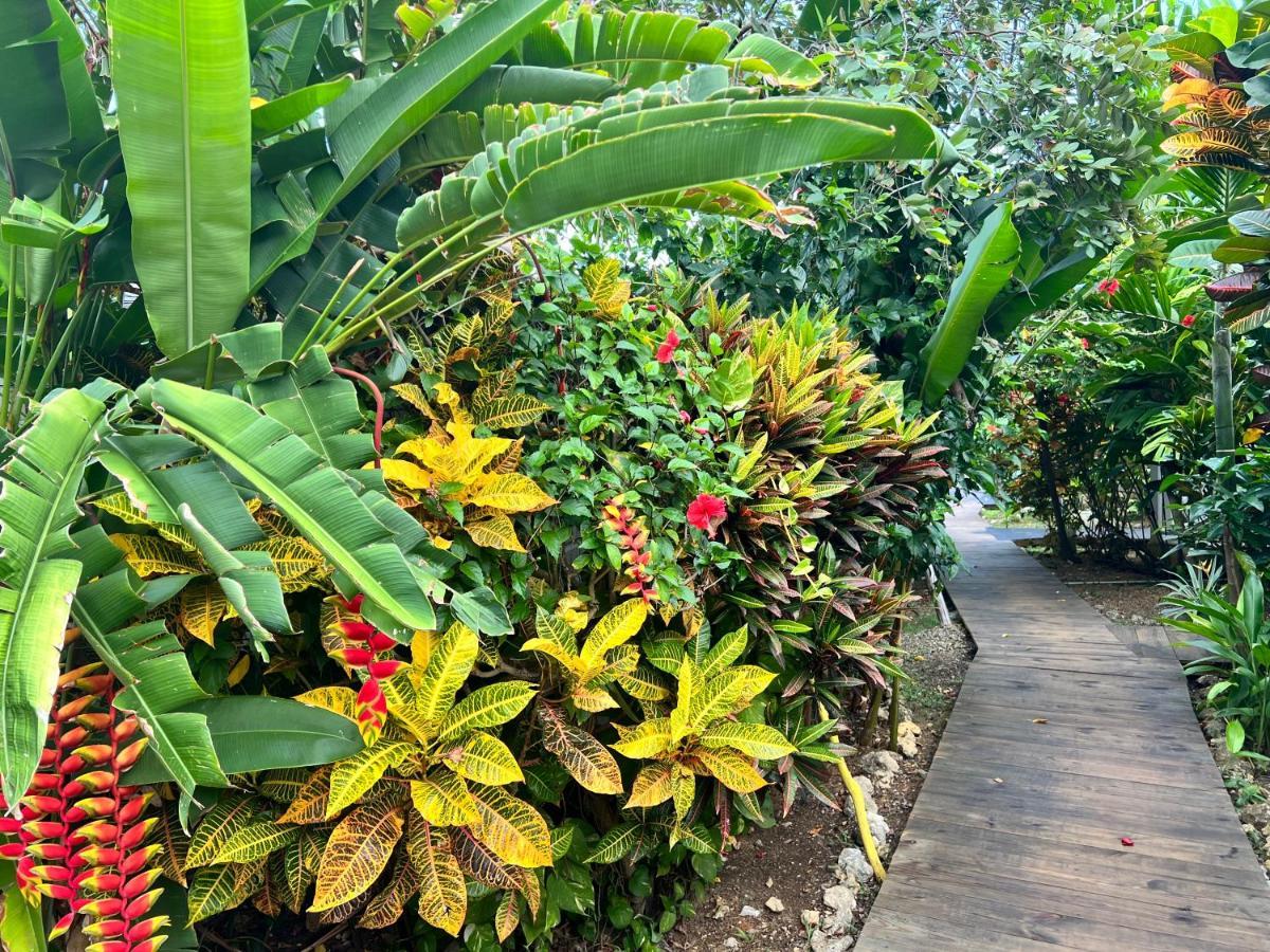 Jamaica Colors Hotel And Eco-Retreat Port Antonio Extérieur photo