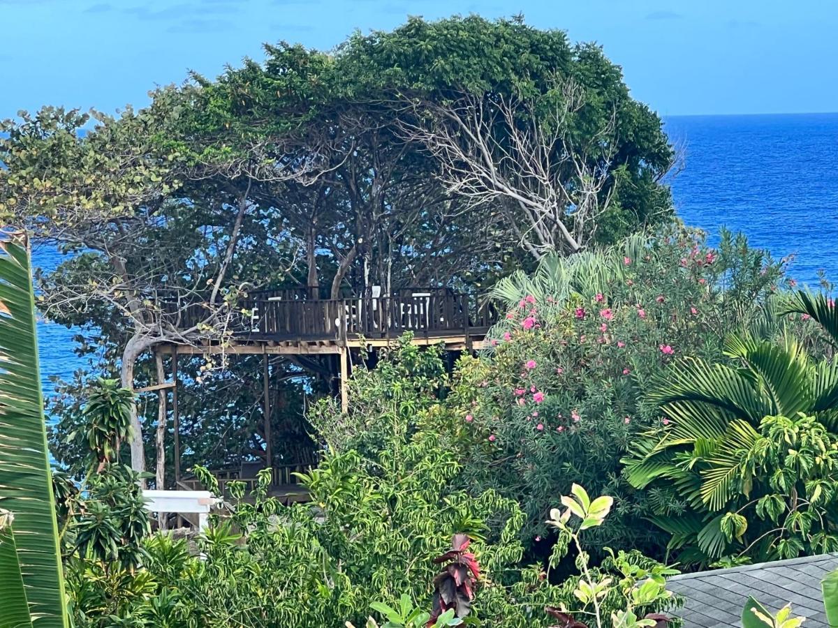Jamaica Colors Hotel And Eco-Retreat Port Antonio Extérieur photo