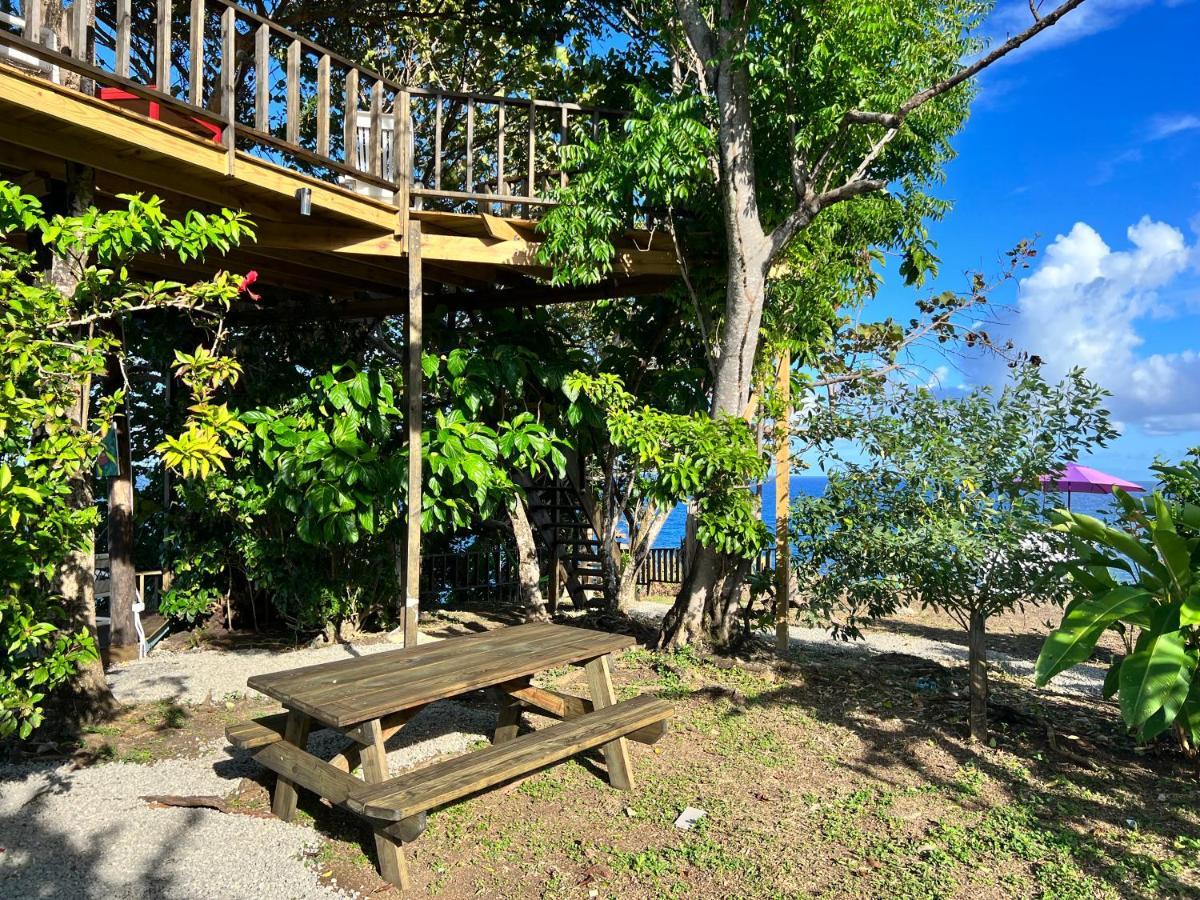 Jamaica Colors Hotel And Eco-Retreat Port Antonio Extérieur photo