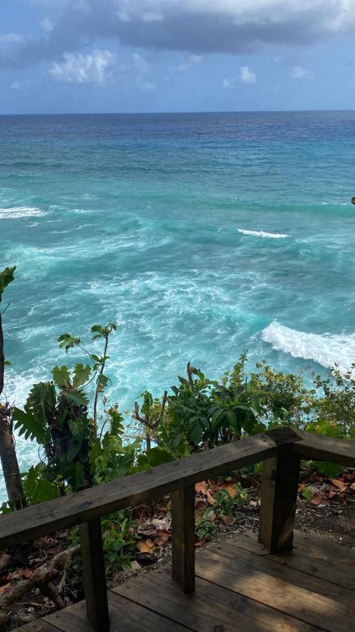 Jamaica Colors Hotel And Eco-Retreat Port Antonio Extérieur photo