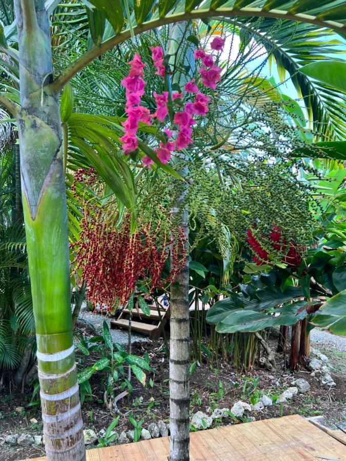 Jamaica Colors Hotel And Eco-Retreat Port Antonio Extérieur photo