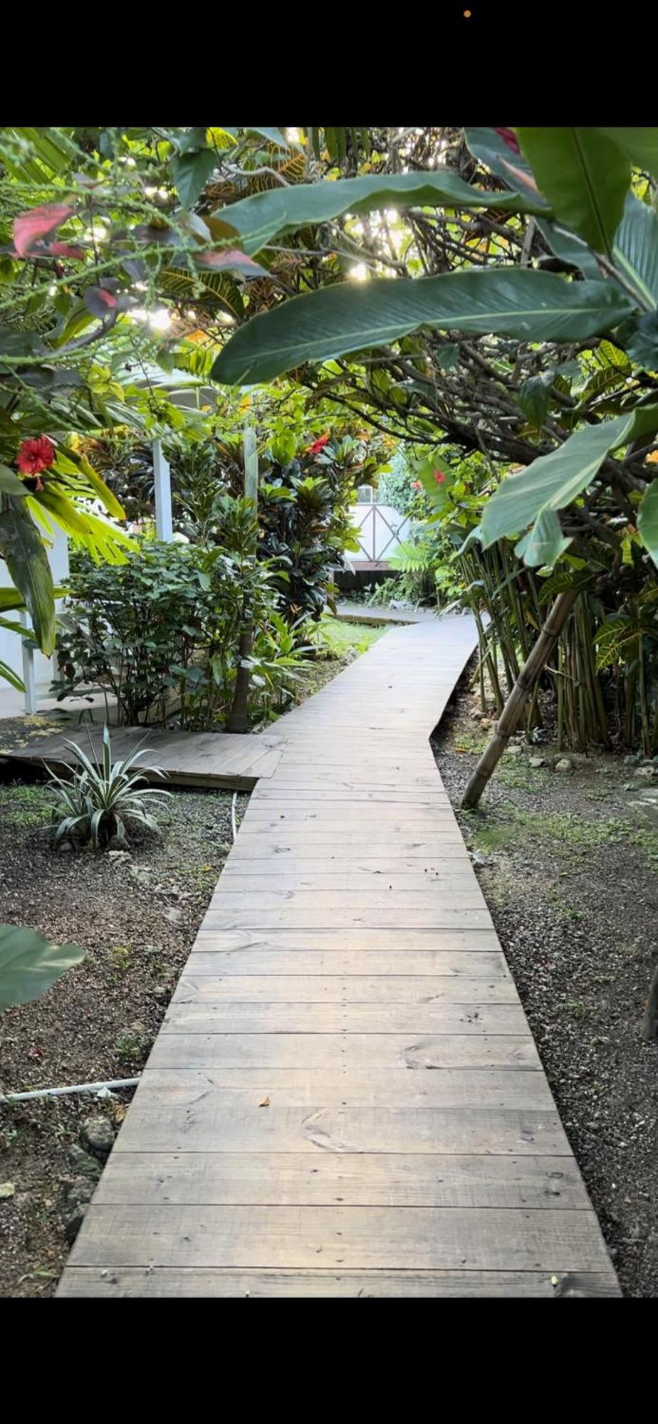 Jamaica Colors Hotel And Eco-Retreat Port Antonio Extérieur photo